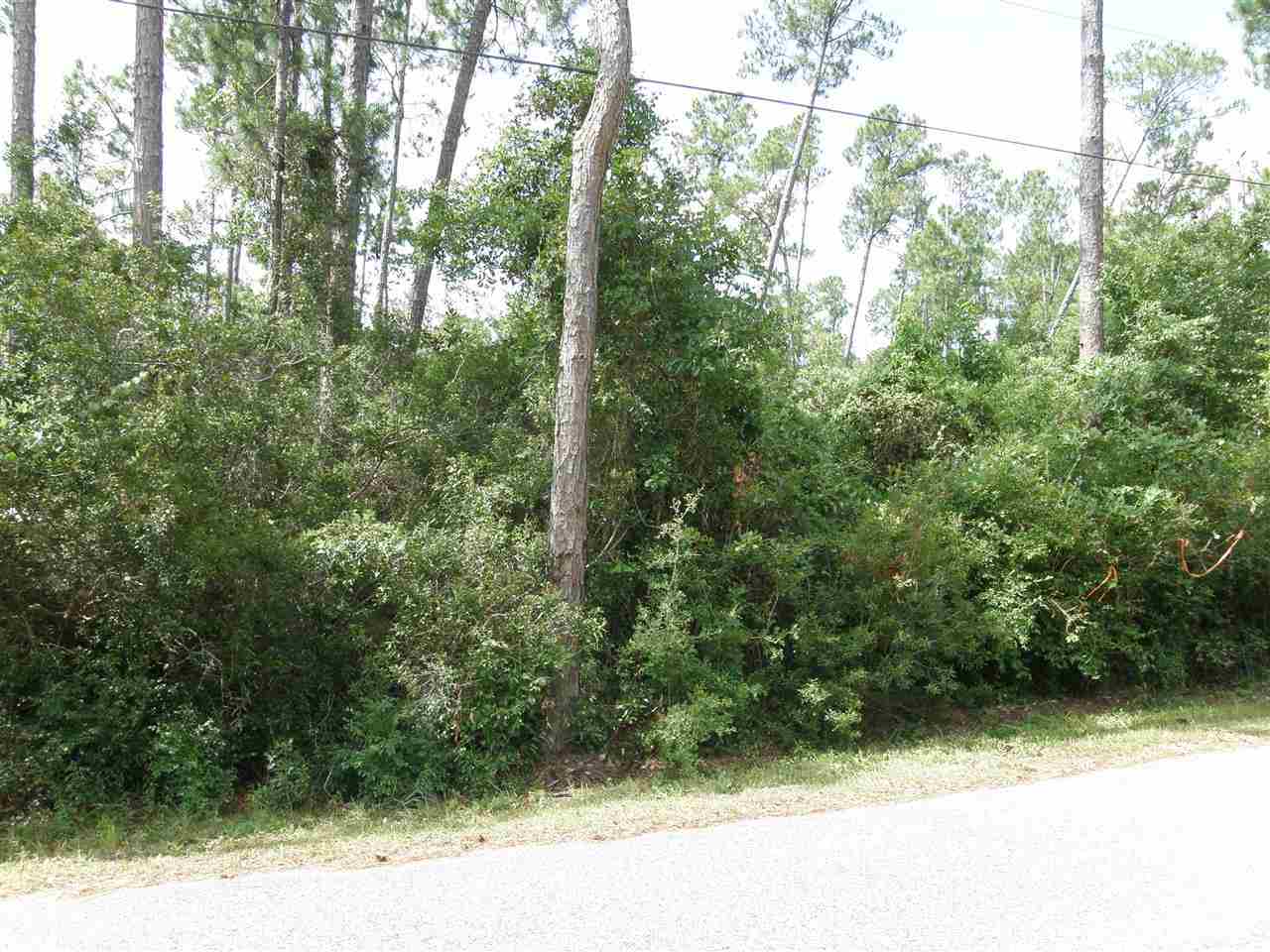 6.41-ac Robinson Point Road Milton, FL 32583 - Photo 5 of 7