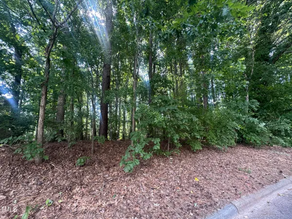 a view of a forest that has large trees