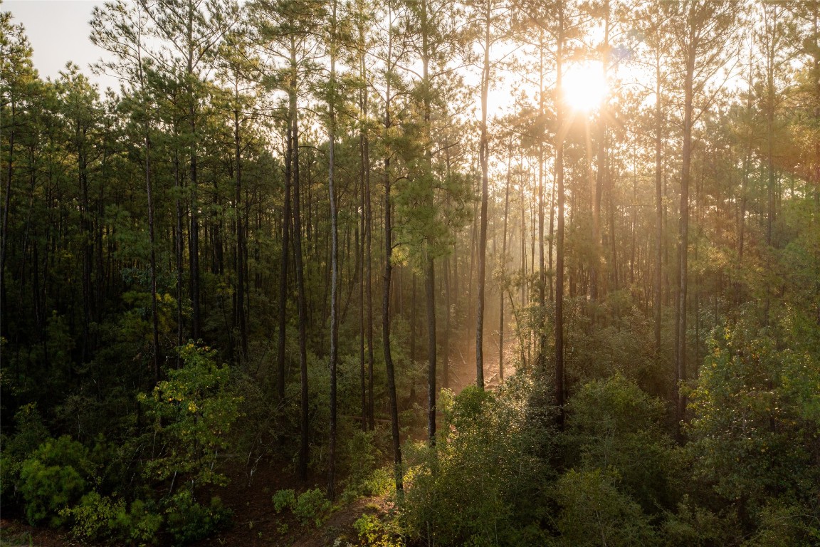 11760 Ridge Rock Road Willis, TX 77378 - Photo 16 of 28