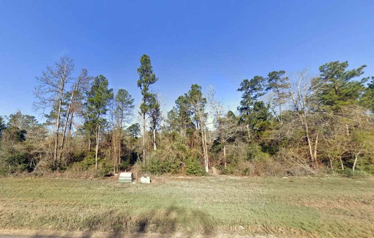 11760 Ridge Rock Road Willis, TX 77378 - Photo 7 of 28