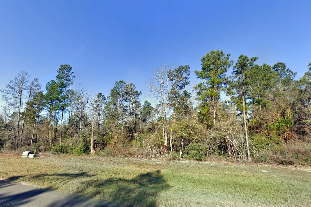 11760 Ridge Rock Road Willis, TX 77378 - Photo 8 of 28