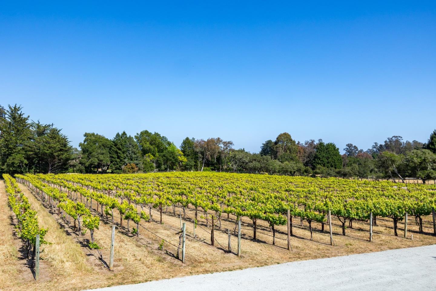 3357 Chardonnay Road Soquel, CA 95073 - Photo 37 of 89
