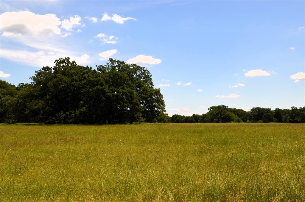 0 County Road 2854 Road Eustace, TX 75124 - Photo 11 of 20 a view of outside space and swimming pool
