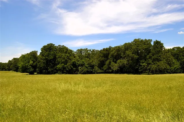 a view of yard with ocean view