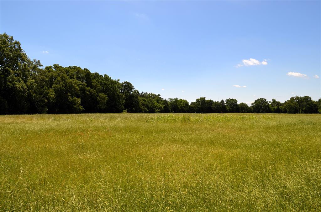 0 County Road 2854 Road Eustace, TX 75124 - Photo 15 of 20 a view of lake and mountain