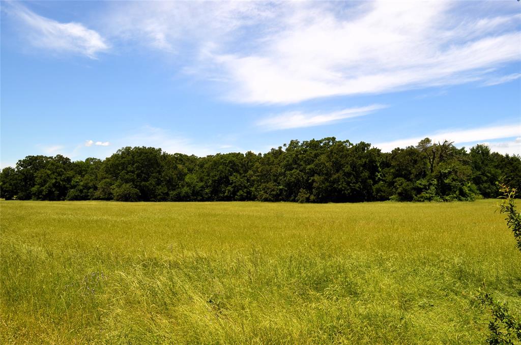 0 County Road 2854 Road Eustace, TX 75124 - Photo 16 of 20 a view of an ocean and beach