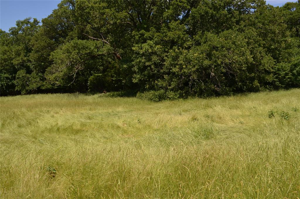 0 County Road 2854 Road Eustace, TX 75124 - Photo 19 of 20 a view of empty room with green space