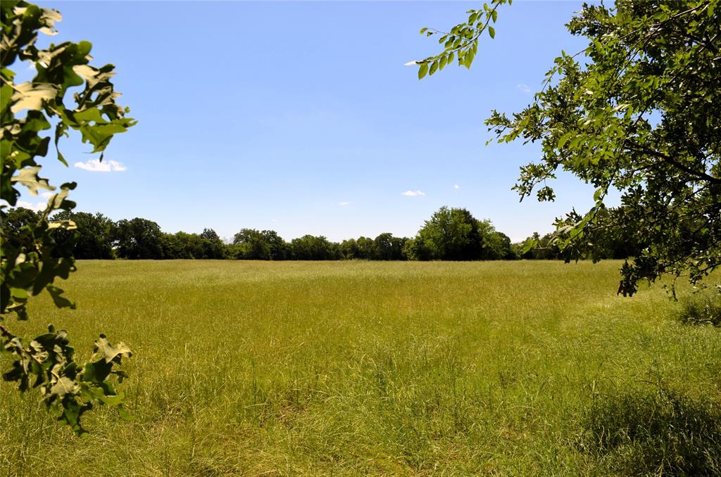 0 County Road 2854 Road Eustace, TX 75124 - Photo 20 of 20