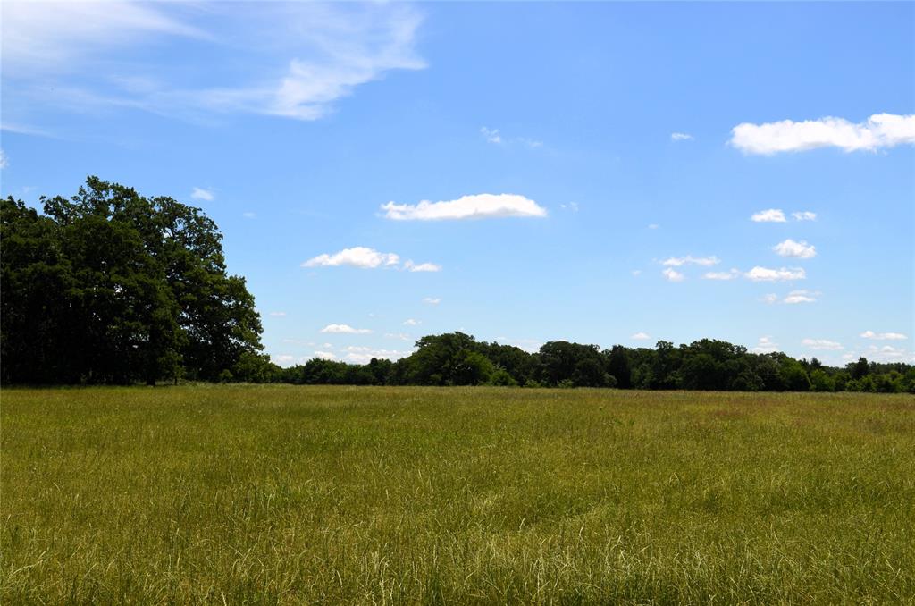 0 County Road 2854 Road Eustace, TX 75124 - Photo 5 of 20 a view of lake background and mountain