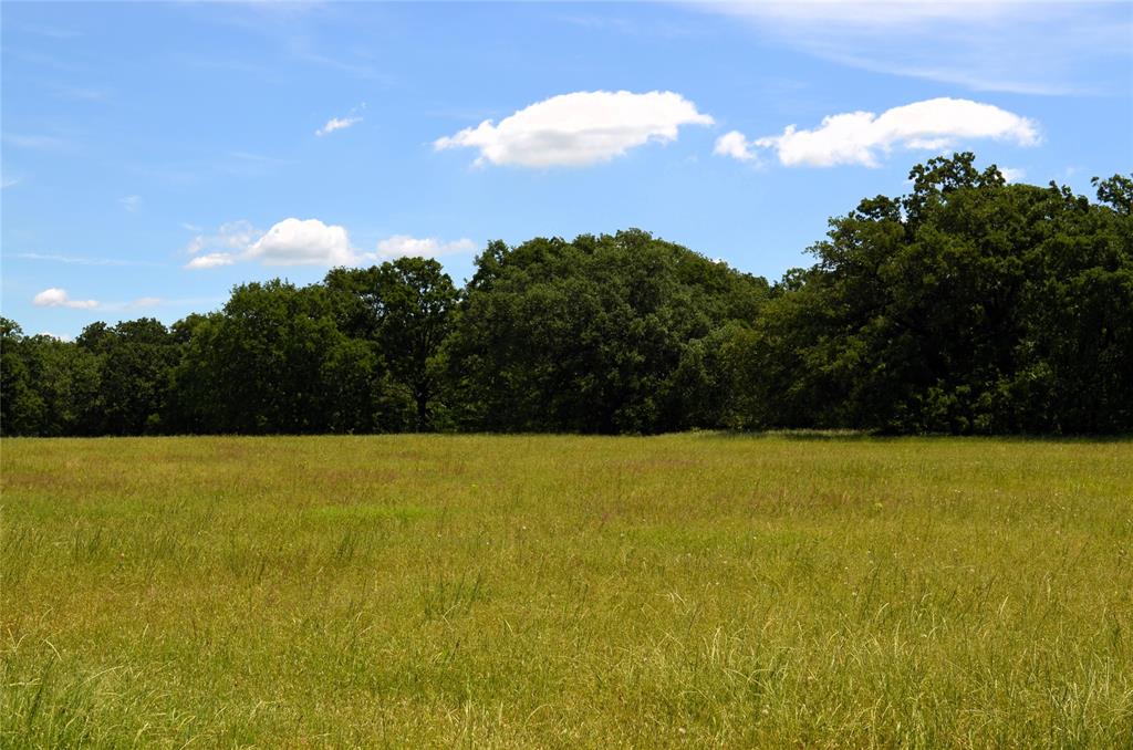 0 County Road 2854 Road Eustace, TX 75124 - Photo 6 of 20 a view of an ocean from a yard