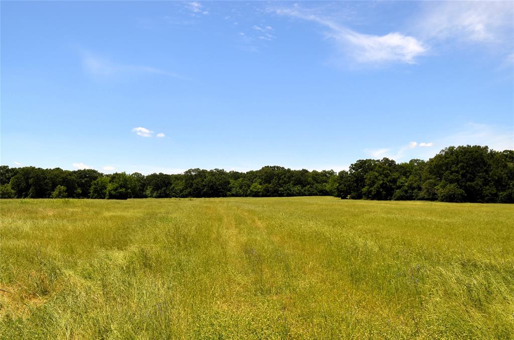 0 County Road 2854 Road Eustace, TX 75124 - Photo 7 of 20 a view of an ocean from a yard