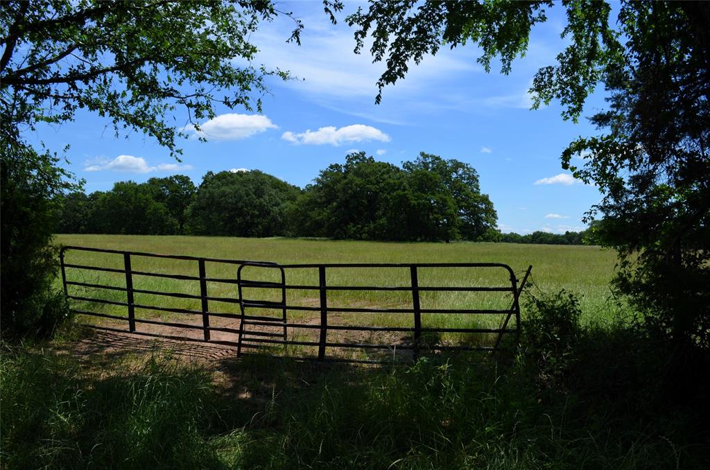 0 County Road 2854 Road Eustace, TX 75124 - Photo 8 of 20 a view of a fence