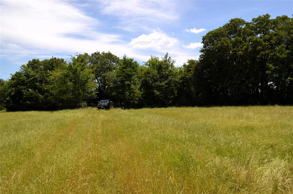 0 County Road 2854 Road Eustace, TX 75124 - Photo 10 of 20 a view of outdoor space and yard