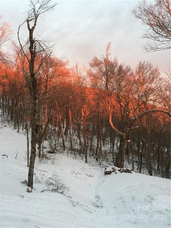 147 North Chappell Road, Unit 3 Banner Elk, NC 28604 - Photo 38 of 43 a view of a covered with snow in the yard