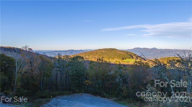 147 North Chappell Road, Unit 3 Banner Elk, NC 28604 - Photo 40 of 43 a view of a backyard with green space