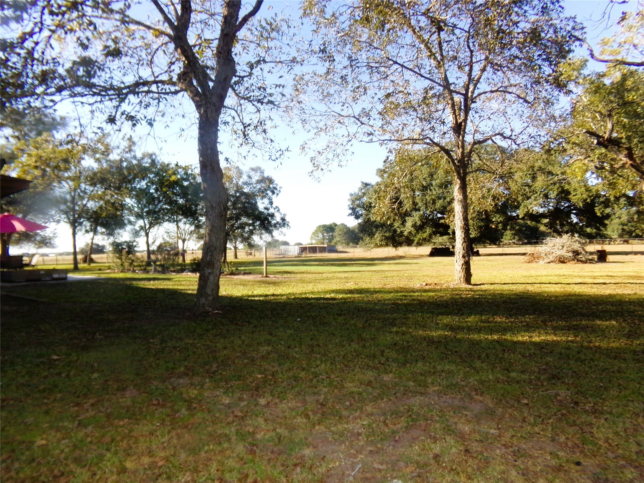 1017 County Road 285 Weimar, TX 78962 - Photo 12 of 18