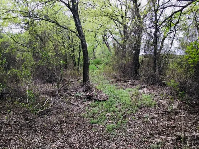 a living room with furniture a rug and wall painting