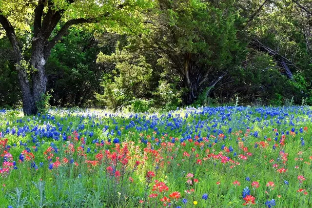 a bathroom with a sink a toilet and shower curtain
