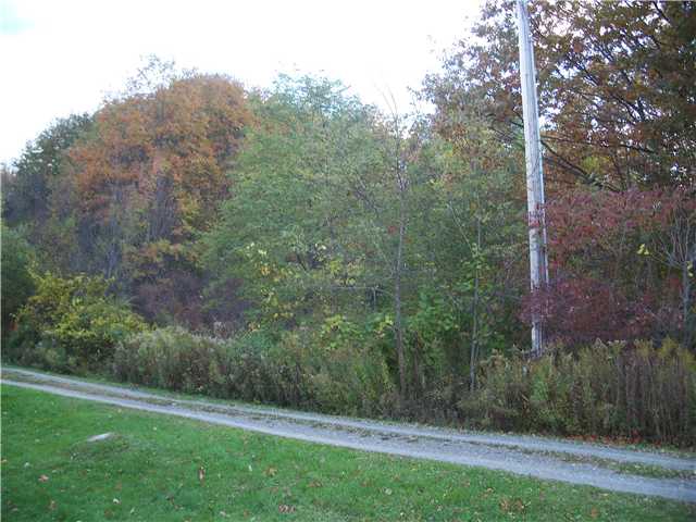 0 Italy Friend Road Branchport, NY 14418 - Photo 1 of 1 Land/Lot