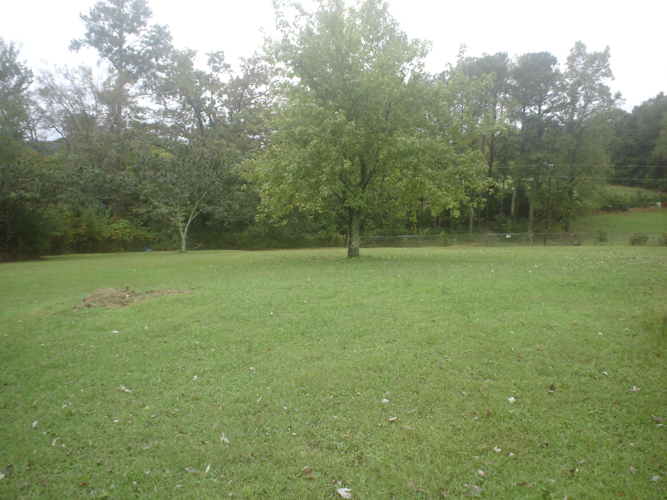 234 Maley Hollow Road Dayton, TN 37321 - Photo 5 of 13 DSC00032