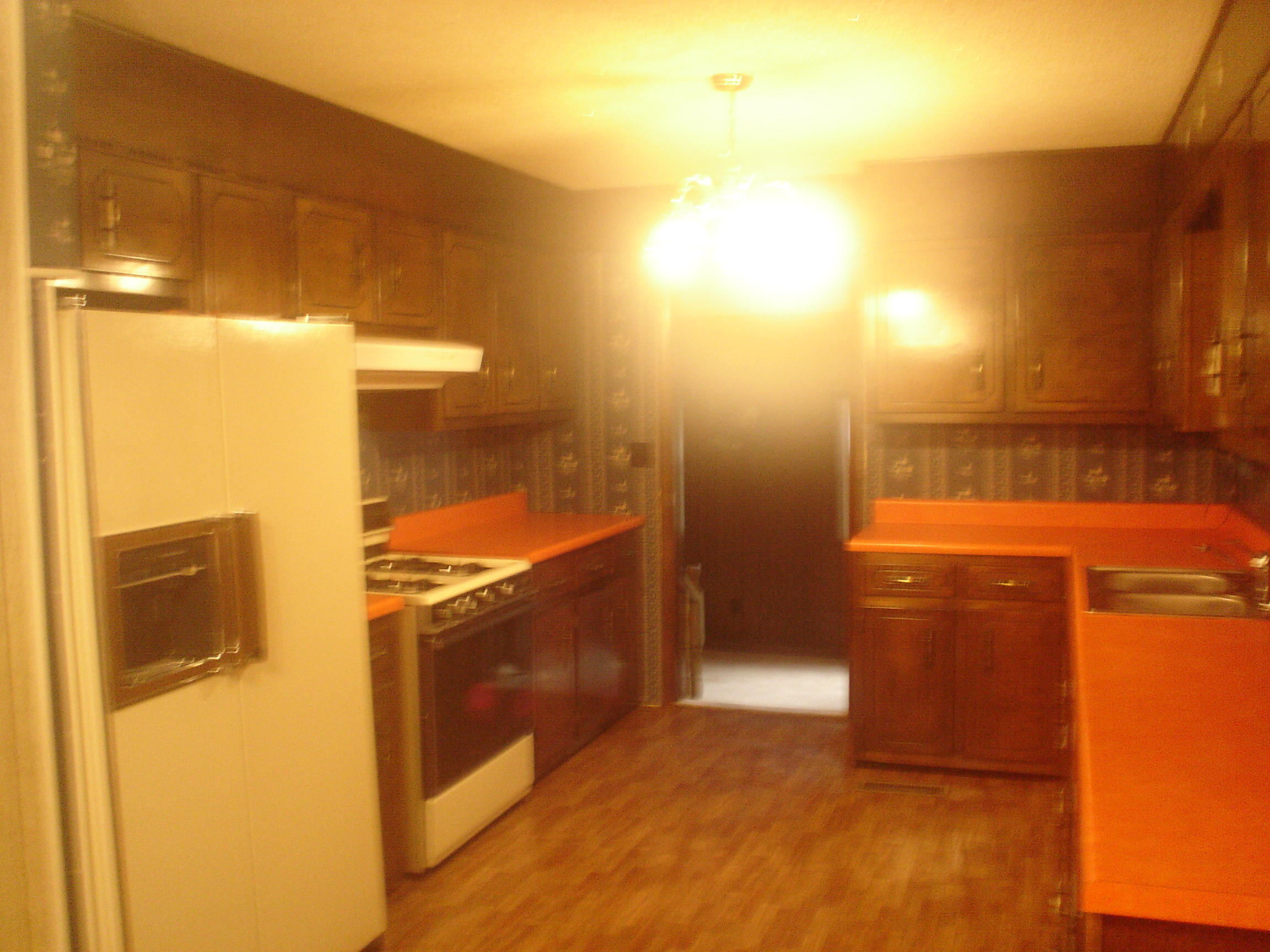 234 Maley Hollow Road Dayton, TN 37321 - Photo 8 of 13 DSC00035