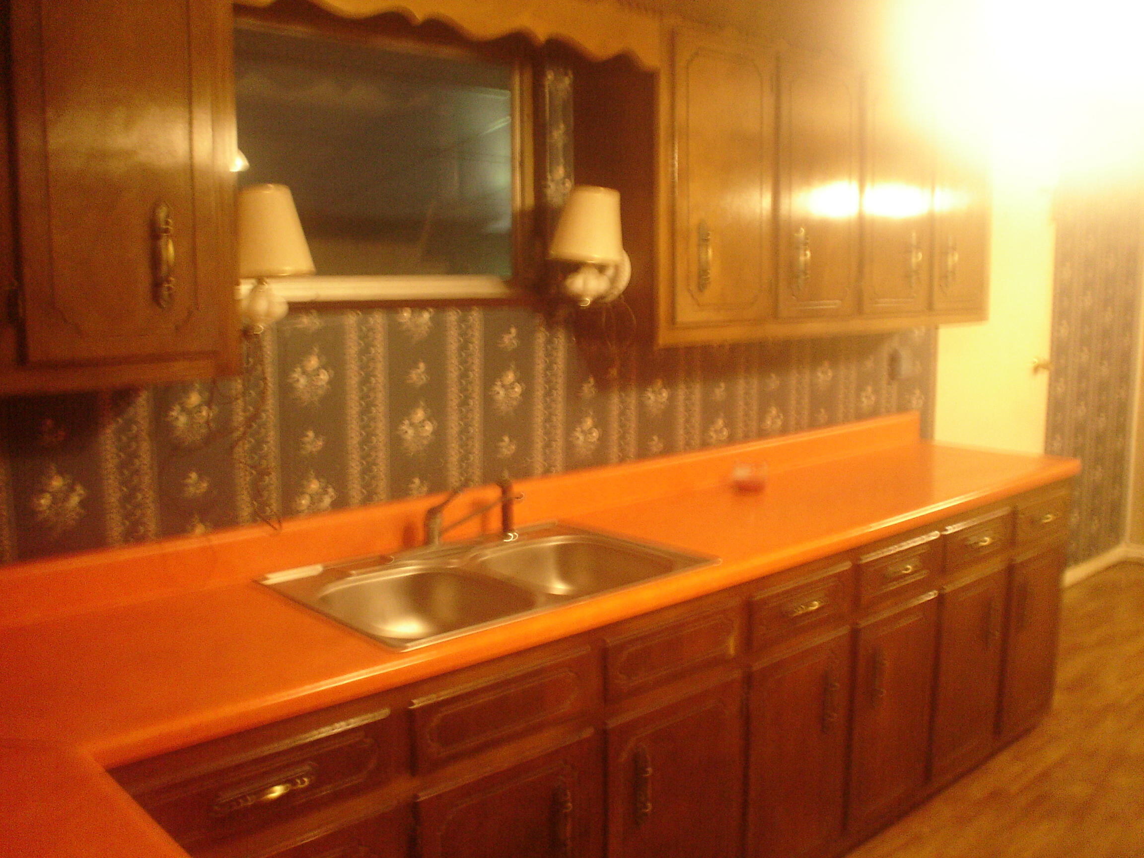 234 Maley Hollow Road Dayton, TN 37321 - Photo 9 of 13 DSC00036