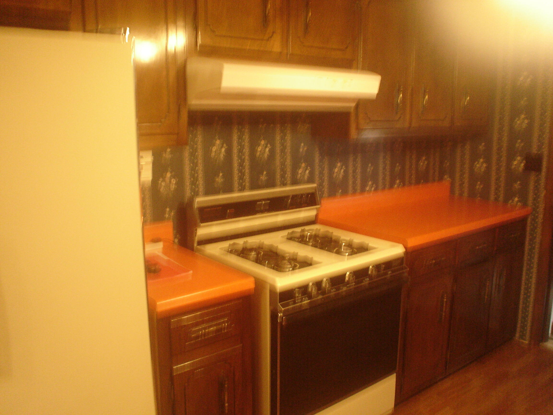 234 Maley Hollow Road Dayton, TN 37321 - Photo 10 of 13 DSC00037