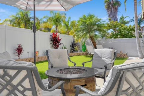 a view of a garden covered with tall trees