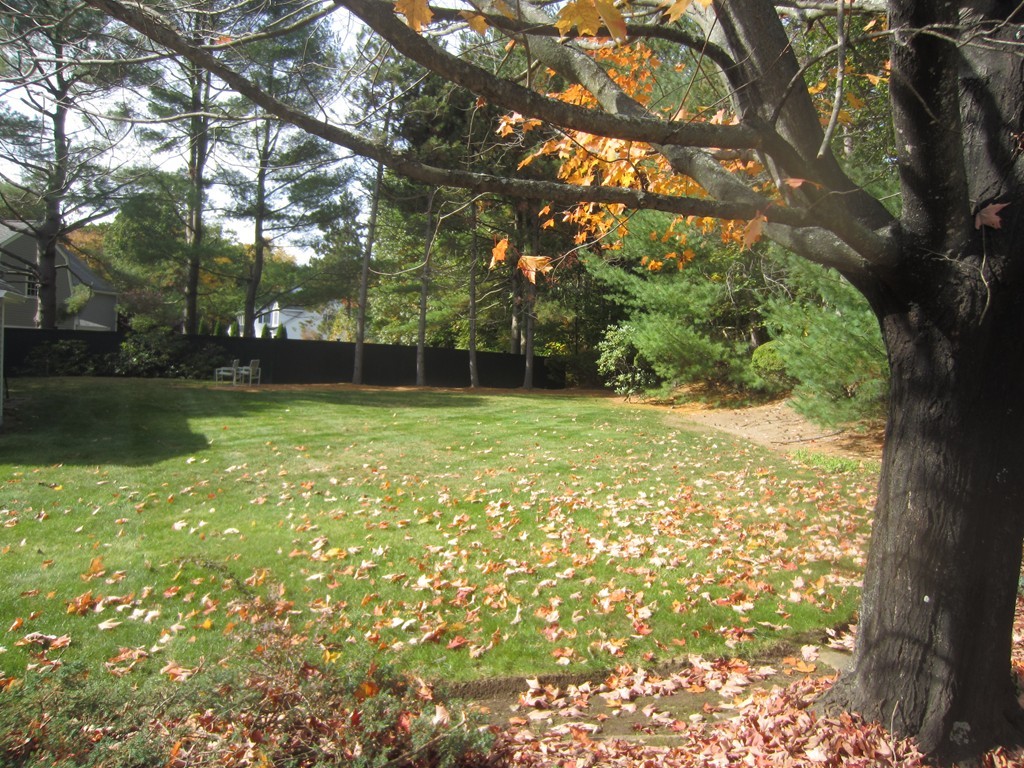 37 Wildon Road Wellesley, MA 02482 - Photo 19 of 19 Gallery Image 19
