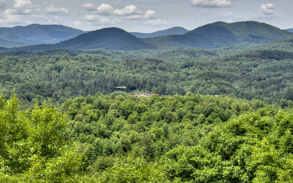 1256 My Mountain Road Morganton, GA 30560 - Photo 2 of 4 Additional View