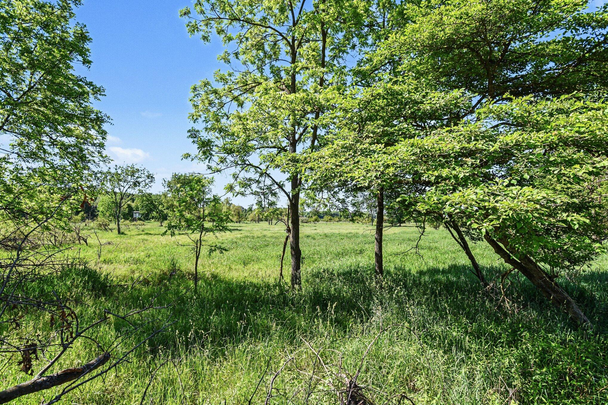 0 East Charles Road Ionia, MI 48846 - Photo 5 of 25 003_file_5928