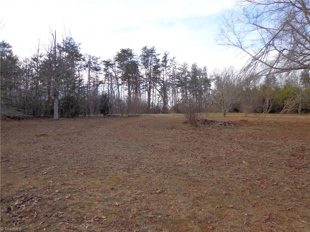 7835 Racine Road Pleasant Garden, NC 27313 - Photo 12 of 14 Back Yard