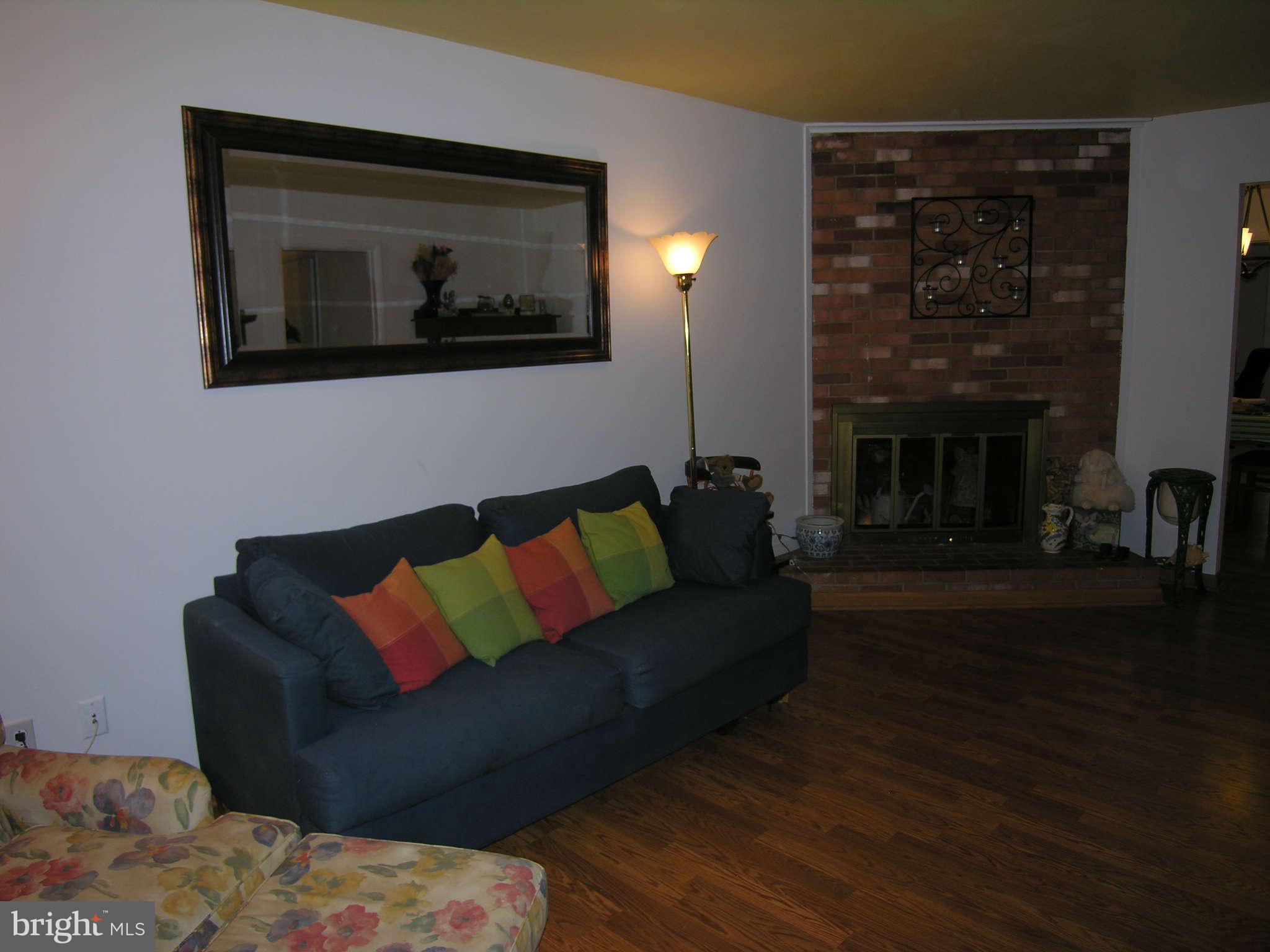 4111 Lees Corner Road Chantilly, VA 20151 - Photo 3 of 19 a living room with furniture and a fireplace