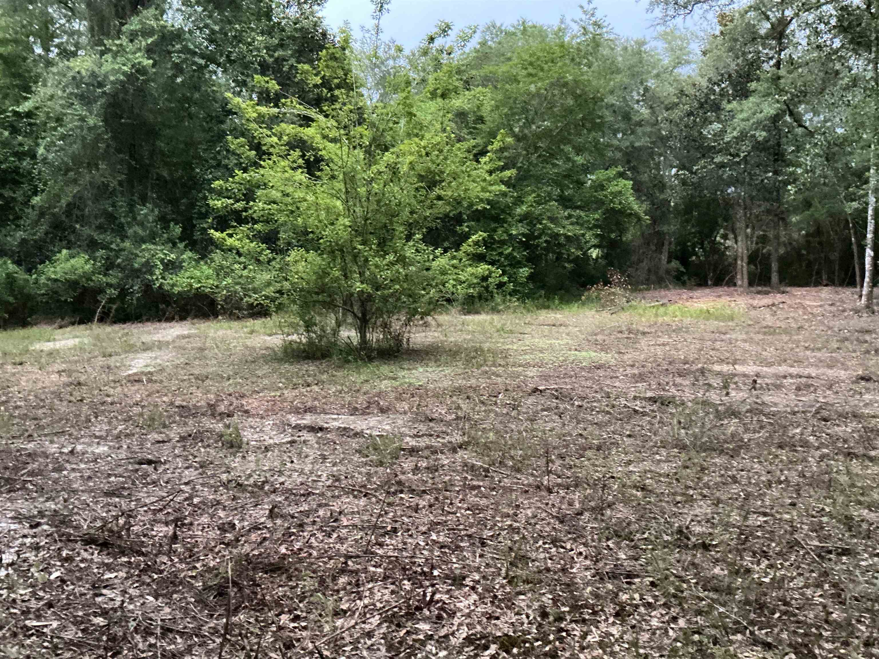 35 Falco Road Andalusia, AL 36420 - Photo 10 of 21 Gallery Image 10