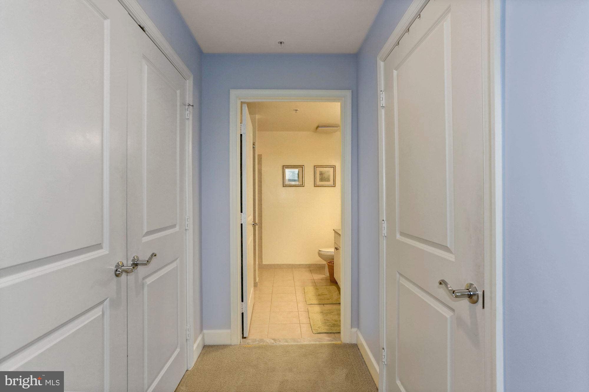 3650 South Glebe Road, Unit 453 Arlington, VA 22202 - Photo 20 of 64 Two Closets in Primary