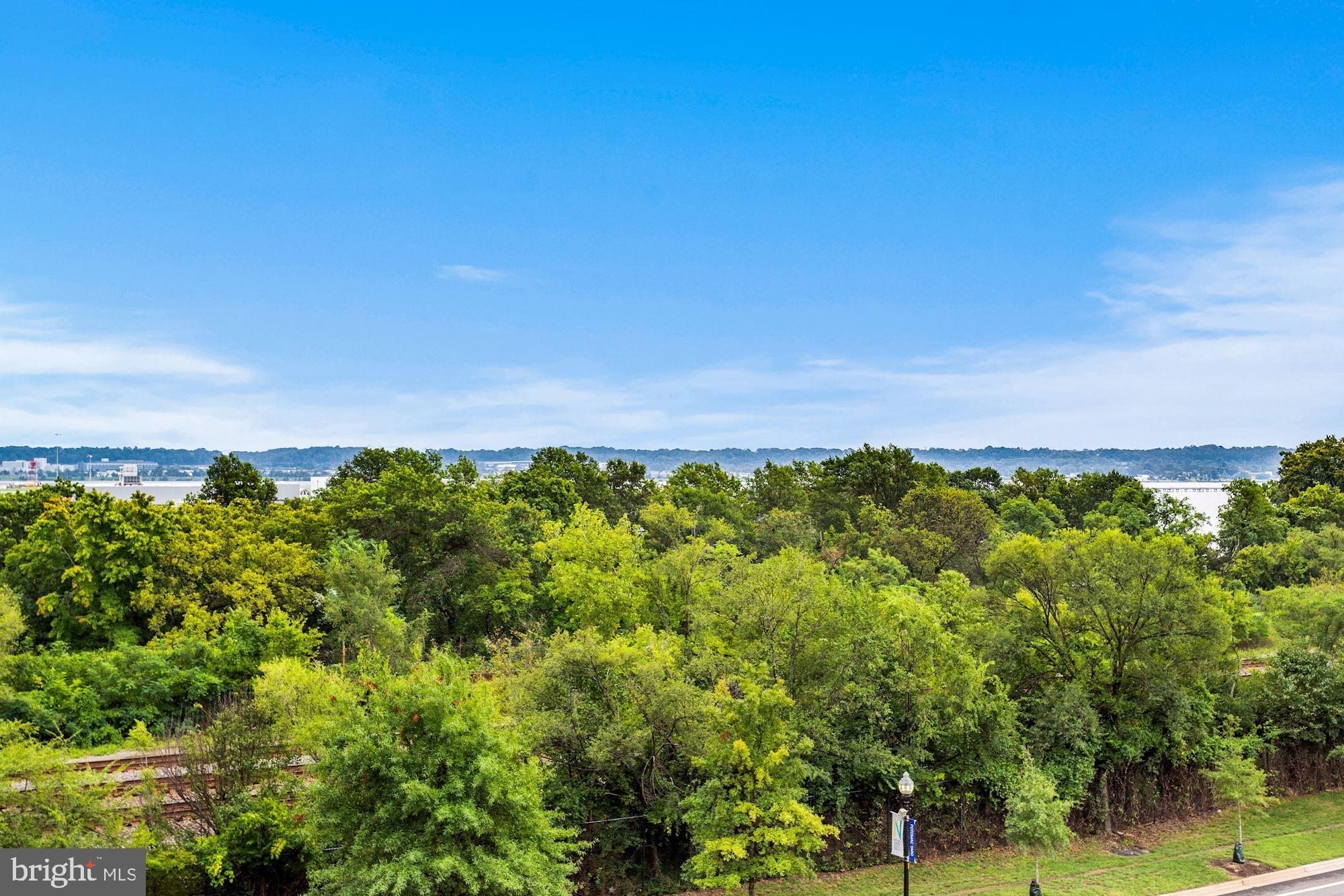 3650 South Glebe Road, Unit 453 Arlington, VA 22202 - Photo 36 of 64 Views From Balcony