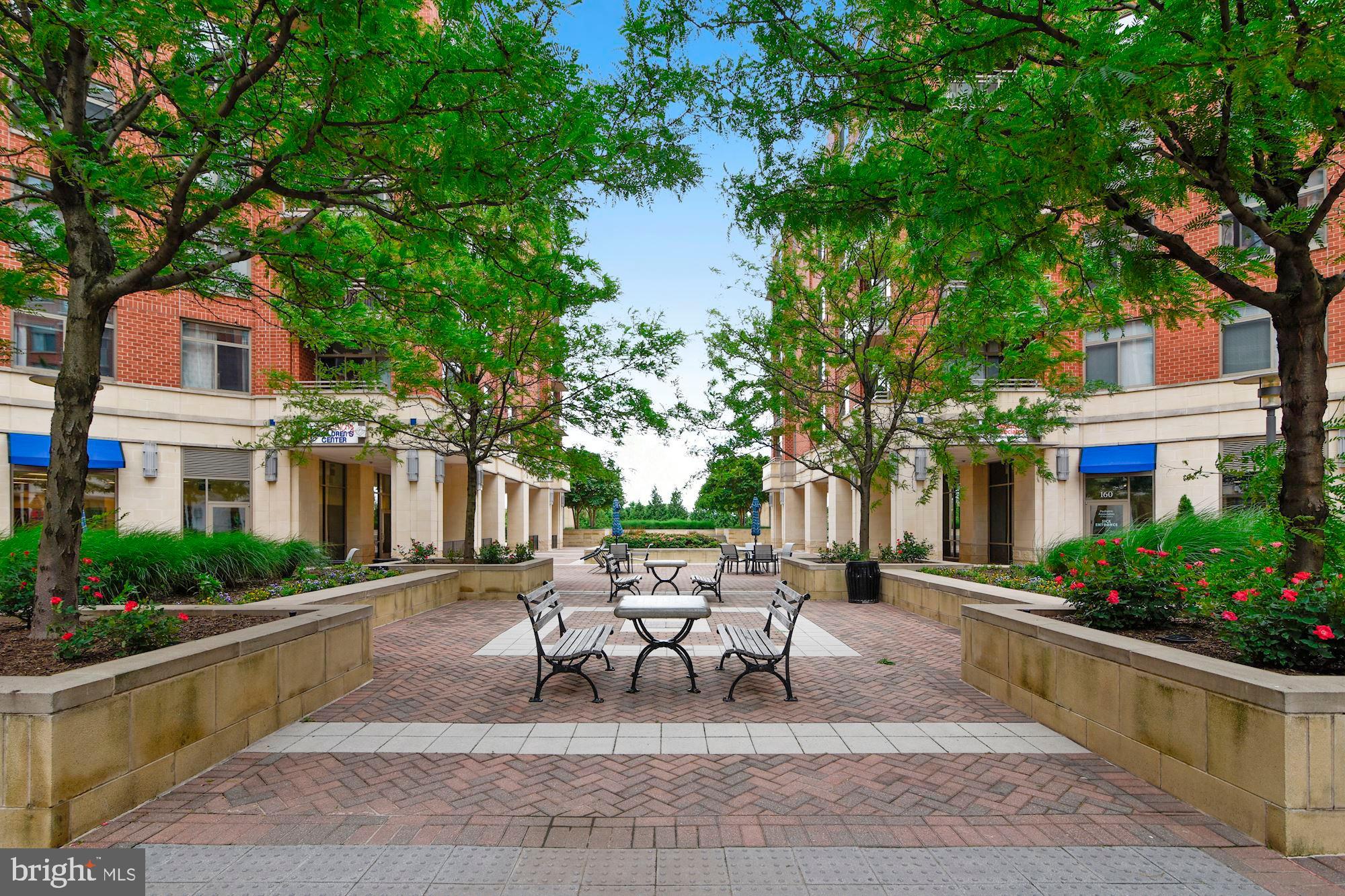 3650 South Glebe Road, Unit 453 Arlington, VA 22202 - Photo 57 of 64 Courtyard