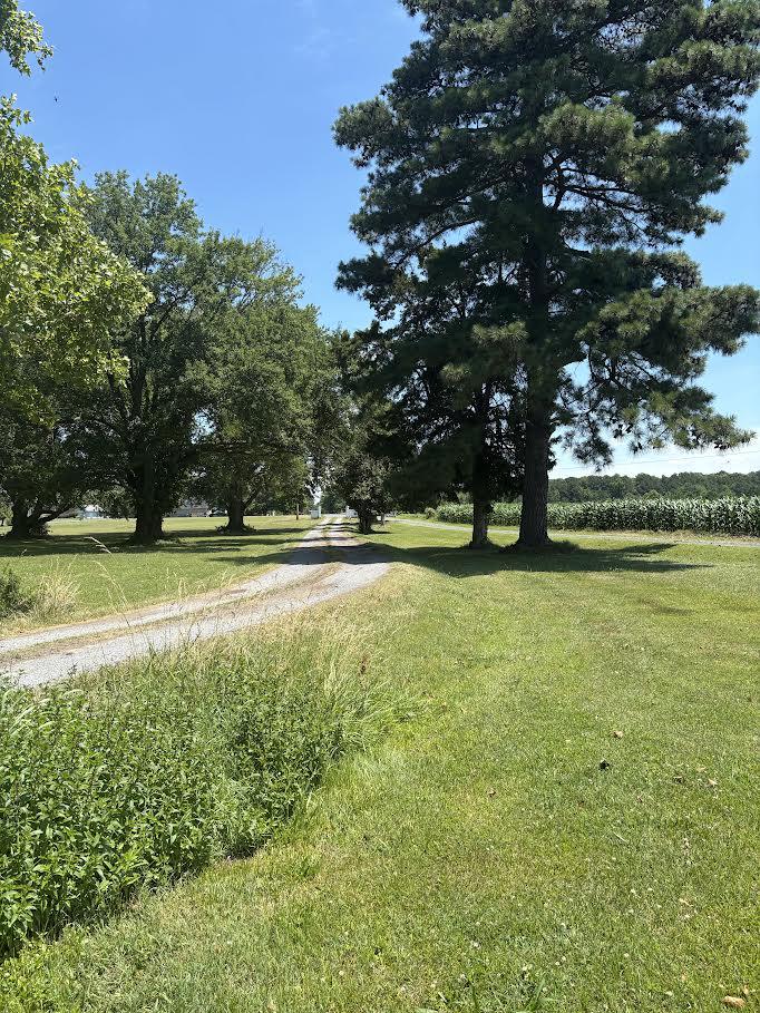 300 Woods Point Road Chester, MD 21619 - Photo 14 of 16 Tranquil private driveway abuts neighbor's farm