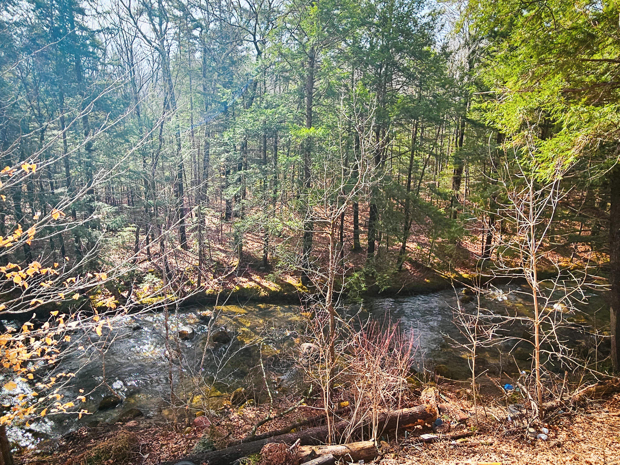 922 Weld Road Wilton, ME 04294 - Photo 21 of 53