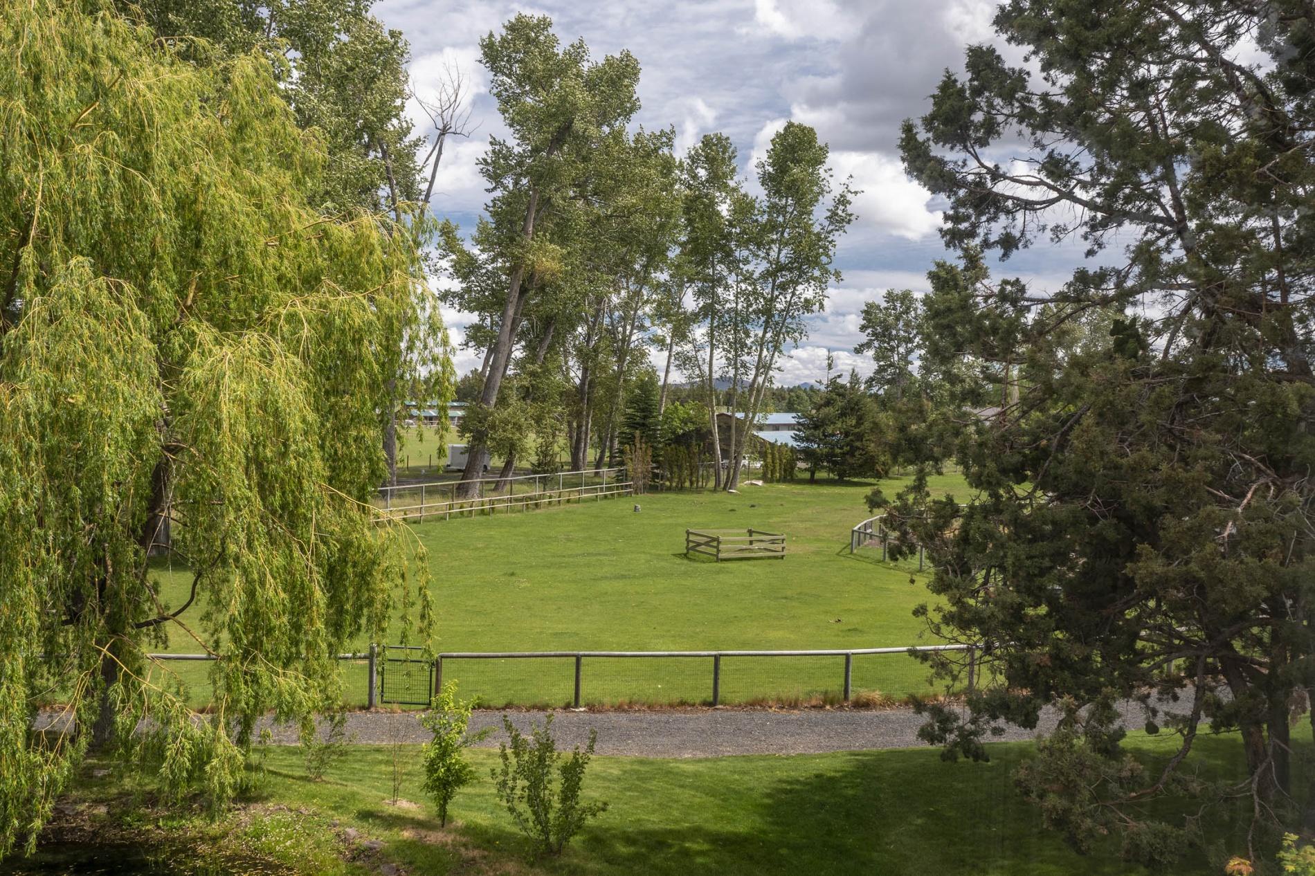 18430 Walton Road Bend, OR 97703 - Photo 5 of 50 batch_4. Walton pasture, cottonwoods