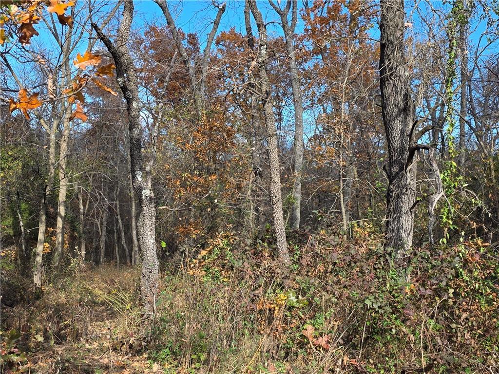 4215 320 Road El Dorado Springs, MO 64744 - Photo 38 of 40