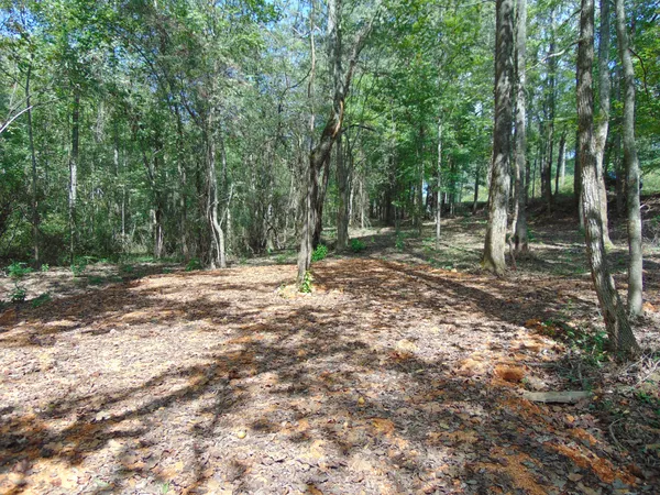 $199,900 | 0 Alexander Springs Road, Ethridge, TN 38456