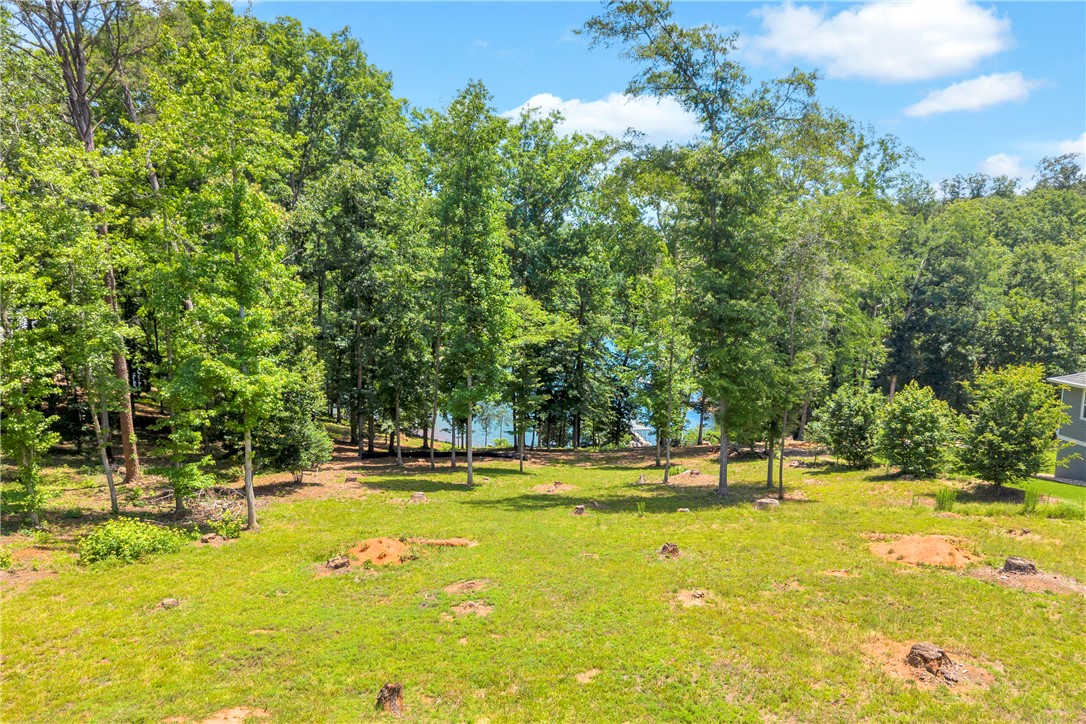 Lot 60 Harbor Point Seneca, SC 29672 - Photo 1 of 30 A pristine lot with mature trees offers tranquil lake views, ideal for a custom-built retreat.