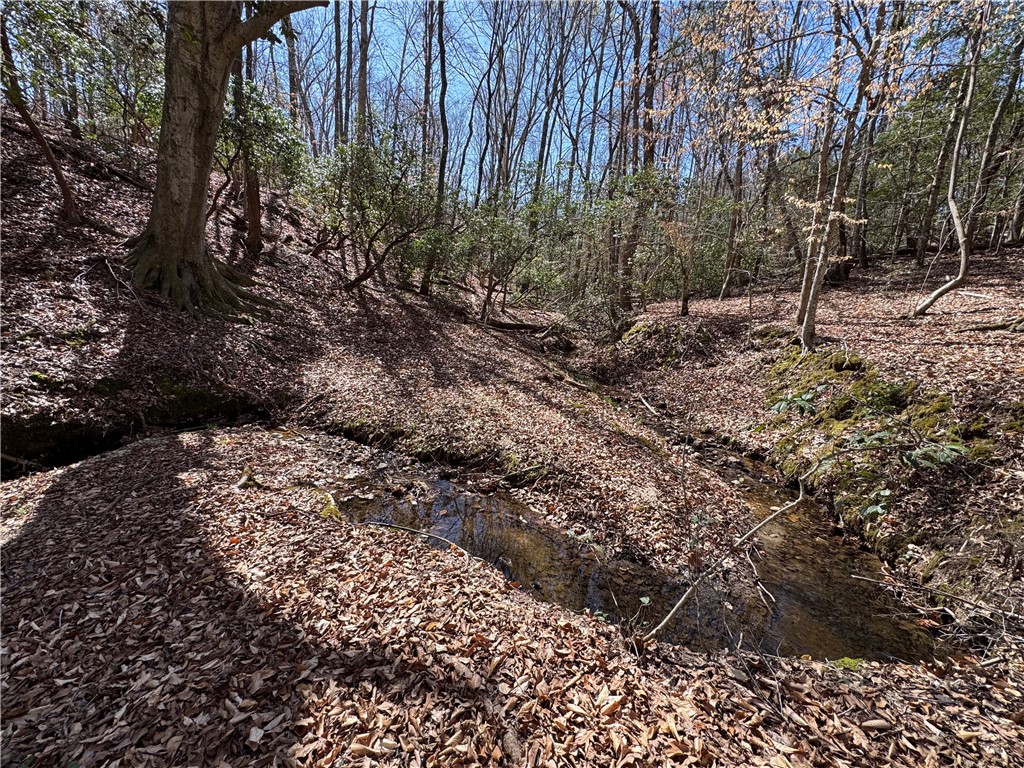 0 Golden Hickory Drive Anderson, SC 29621 - Photo 17 of 22 A tranquil stream meanders through a wooded landscape, offering a serene natural setting.