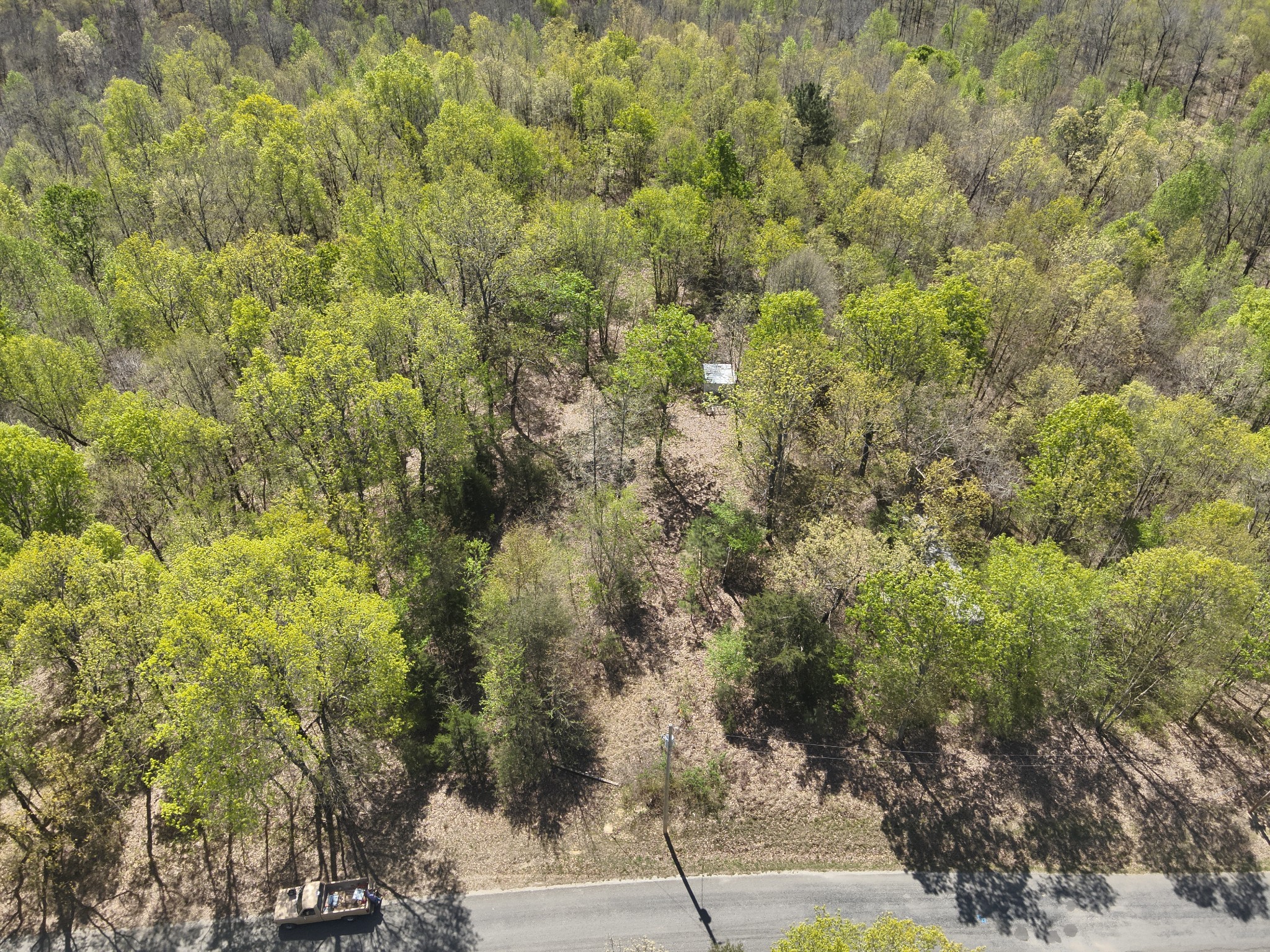 a view of a bunch of trees and bushes