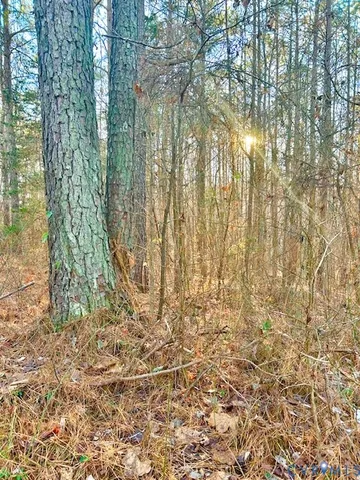 $79,900 | 19331 River Road, Chesterfield, VA 23838