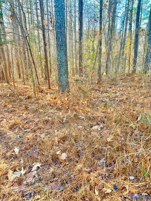 19331 River Road Chesterfield, VA 23838 - Photo 3 of 4 a backyard of a house with large trees