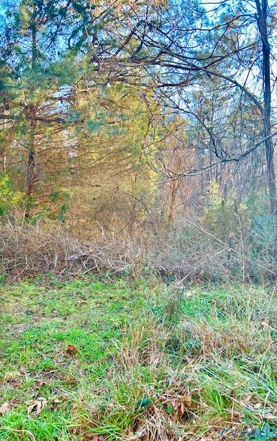 19331 River Road Chesterfield, VA 23838 - Photo 4 of 4 a view of a garden