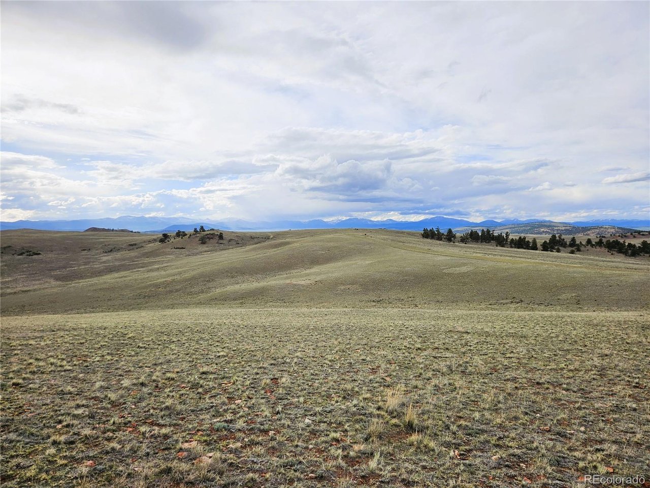 24139 Antero Road Hartsel, CO 80449 - Photo 28 of 35
