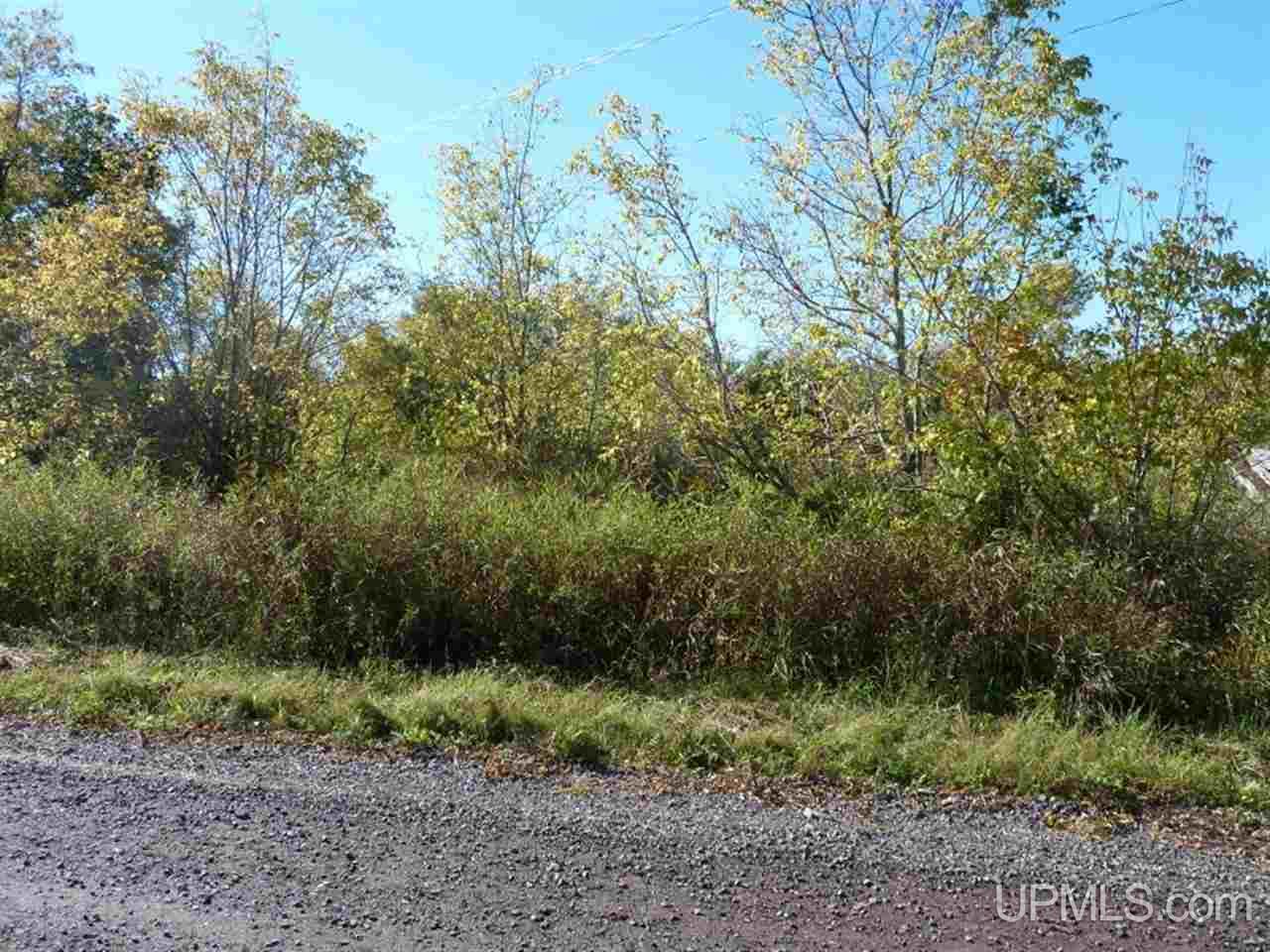 Tbd Part Of 19 Mine Rock Road Calumet, MI 49930 - Photo 1 of 7